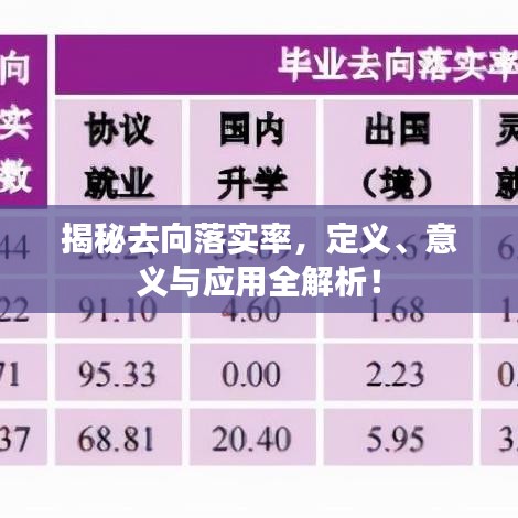 揭秘去向落实率，定义、意义与应用全解析！