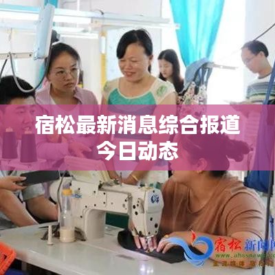 宿松最新消息综合报道今日动态