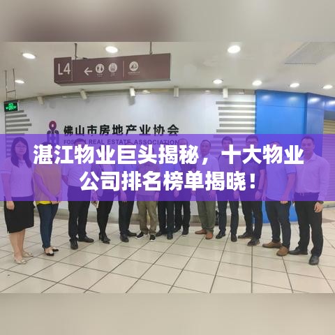 湛江物业巨头揭秘，十大物业公司排名榜单揭晓！