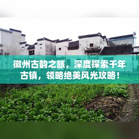 徽州古韵之旅，深度探索千年古镇，领略绝美风光攻略！
