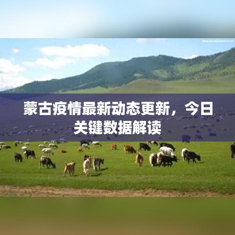 蒙古疫情最新动态更新，今日关键数据解读