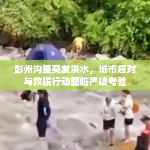 彭州沟里突发洪水，城市应对与救援行动面临严峻考验