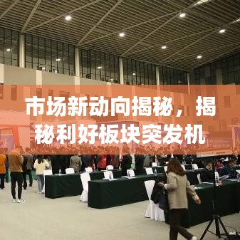 市场新动向揭秘，揭秘利好板块突发机遇深度解析