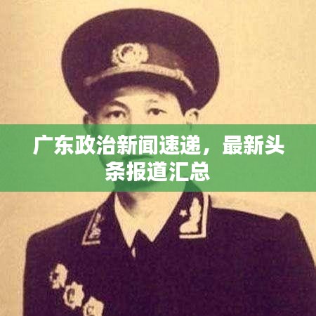 广东政治新闻速递，最新头条报道汇总