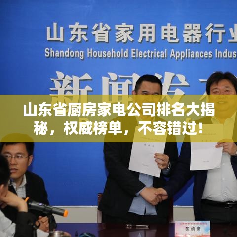 山东省厨房家电公司排名大揭秘，权威榜单，不容错过！