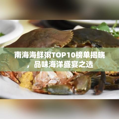 南海海鲜粥TOP10榜单揭晓，品味海洋盛宴之选
