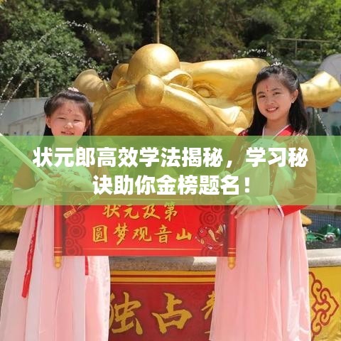 状元郎高效学法揭秘，学习秘诀助你金榜题名！