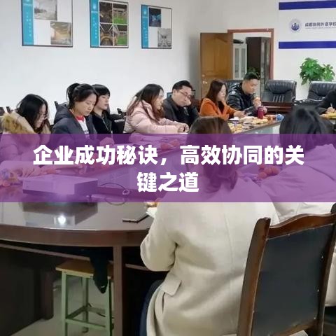 企业成功秘诀，高效协同的关键之道