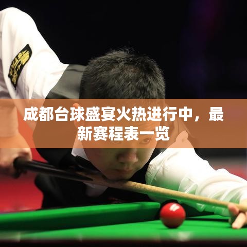 成都台球盛宴火热进行中，最新赛程表一览