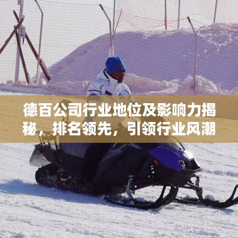 德百公司行业地位及影响力揭秘，排名领先，引领行业风潮！
