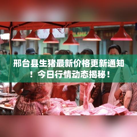 邢台县生猪最新价格更新通知！今日行情动态揭秘！