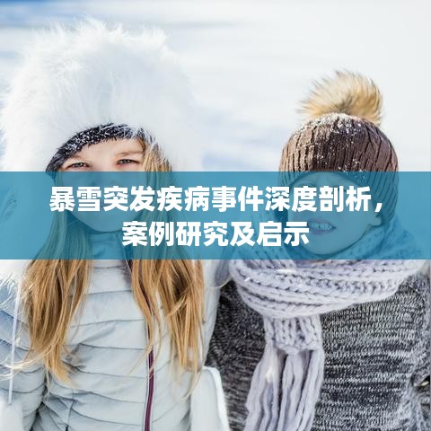 暴雪突发疾病事件深度剖析，案例研究及启示
