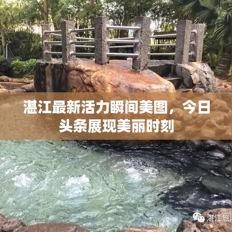湛江最新活力瞬间美图，今日头条展现美丽时刻
