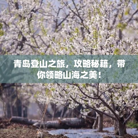 青岛登山之旅，攻略秘籍，带你领略山海之美！
