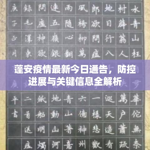 蓬安疫情最新今日通告，防控进展与关键信息全解析
