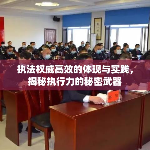 执法权威高效的体现与实践，揭秘执行力的秘密武器