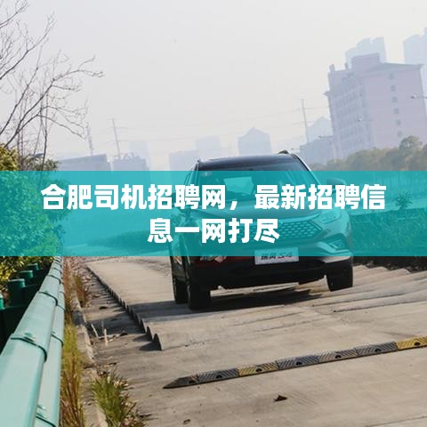 合肥司机招聘网，最新招聘信息一网打尽