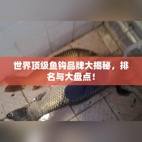 世界顶级鱼钩品牌大揭秘，排名与大盘点！