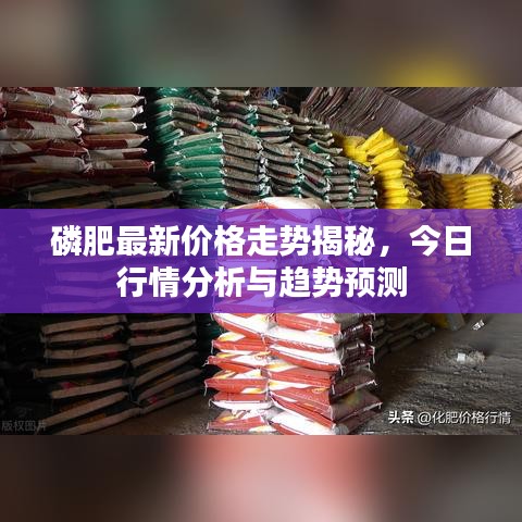 磷肥最新价格走势揭秘，今日行情分析与趋势预测
