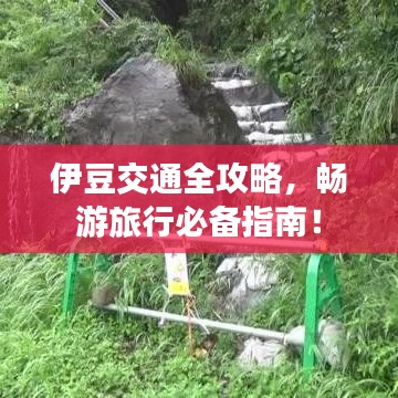 伊豆交通全攻略，畅游旅行必备指南！