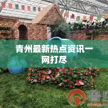 青州最新热点资讯一网打尽
