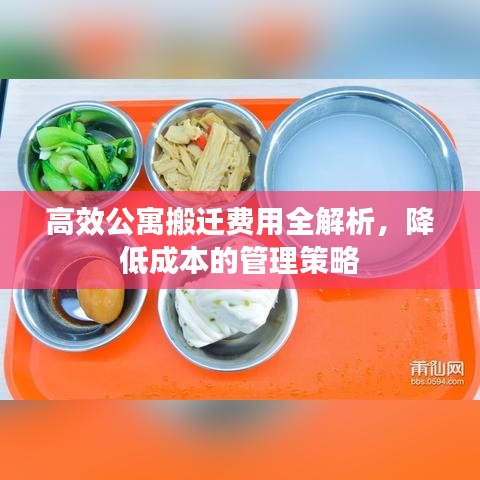 高效公寓搬迁费用全解析，降低成本的管理策略