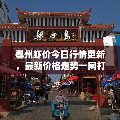 鄂州虾价今日行情更新，最新价格走势一网打尽