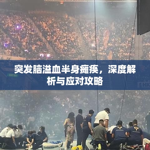突发脑溢血半身瘫痪，深度解析与应对攻略