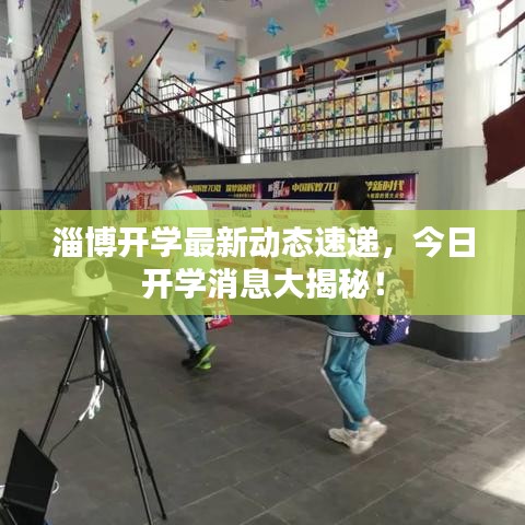 淄博开学最新动态速递，今日开学消息大揭秘！