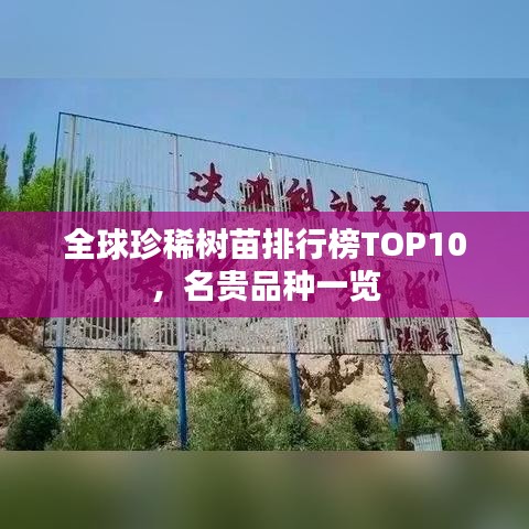 全球珍稀树苗排行榜TOP10，名贵品种一览