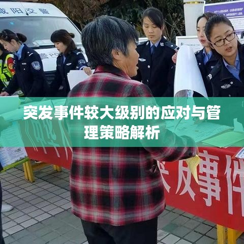 突发事件较大级别的应对与管理策略解析