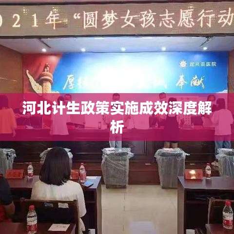 河北计生政策实施成效深度解析