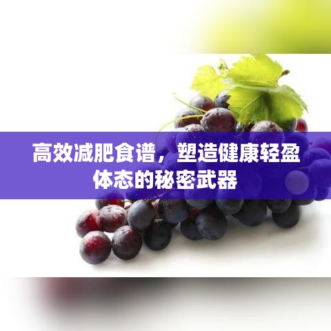 高效减肥食谱，塑造健康轻盈体态的秘密武器
