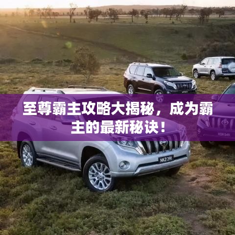 至尊霸主攻略大揭秘，成为霸主的最新秘诀！