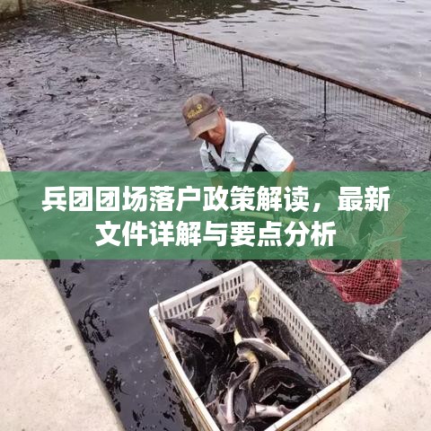 兵团团场落户政策解读，最新文件详解与要点分析