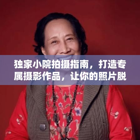 独家小院拍摄指南，打造专属摄影作品，让你的照片脱颖而出！