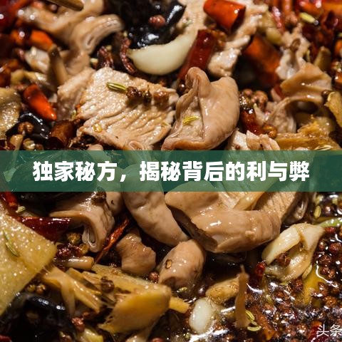 独家秘方，揭秘背后的利与弊