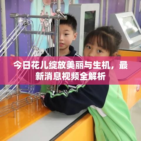今日花儿绽放美丽与生机，最新消息视频全解析