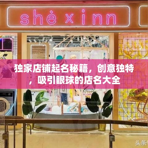 独家店铺起名秘籍，创意独特，吸引眼球的店名大全