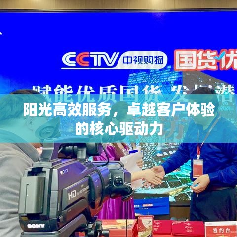 阳光高效服务，卓越客户体验的核心驱动力