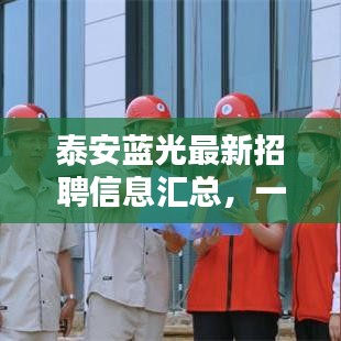 泰安蓝光最新招聘信息汇总，一键查询职位全攻略！