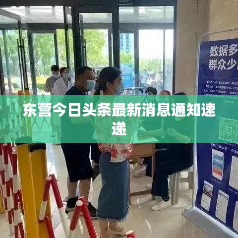 东营今日头条最新消息通知速递