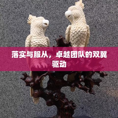 落实与服从，卓越团队的双翼驱动