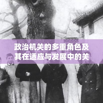 政治机关的多重角色及其在适应与发展中的关键作用