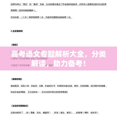 高考语文专题解析大全，分类解读，助力备考！