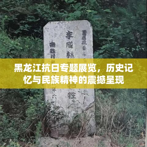 黑龙江抗日专题展览，历史记忆与民族精神的震撼呈现