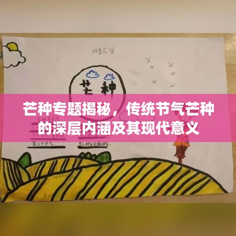 芒种专题揭秘，传统节气芒种的深层内涵及其现代意义