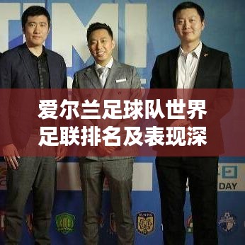 爱尔兰足球队世界足联排名及表现深度解析