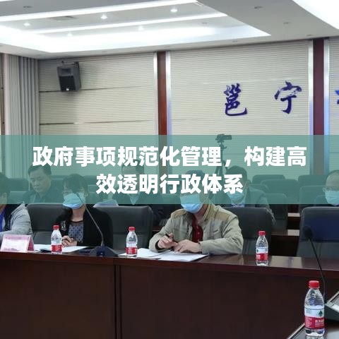 政府事项规范化管理，构建高效透明行政体系