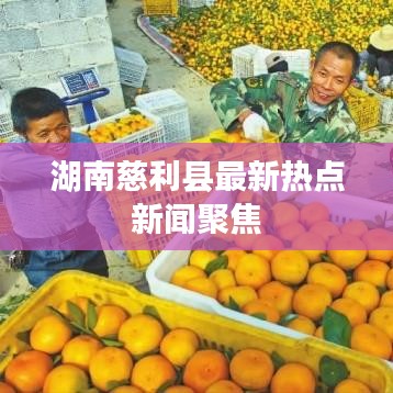 湖南慈利县最新热点新闻聚焦
